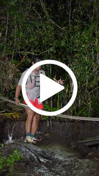 BIB:  <button type="button" onclick="openModal(27716801)" class="btn btn-primary btn-sm float-right" data-toggle="modal" data-target=".modal-high-quality">
                <i class="fa fa-download"></i> Download
                </button>